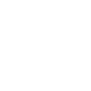 Digital Bull Logo